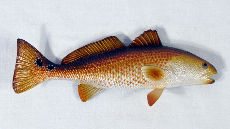 Magnet-fish-red Fish