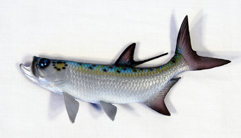 Magnet-fish-tarpon