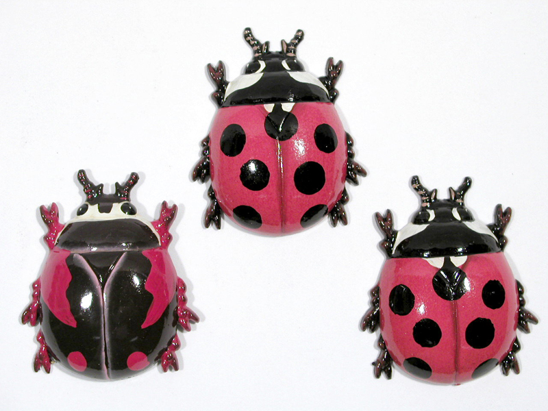 Magnet-insect-ladybug