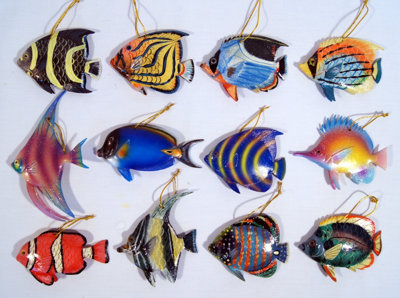 Ornament-tropical Fish-4