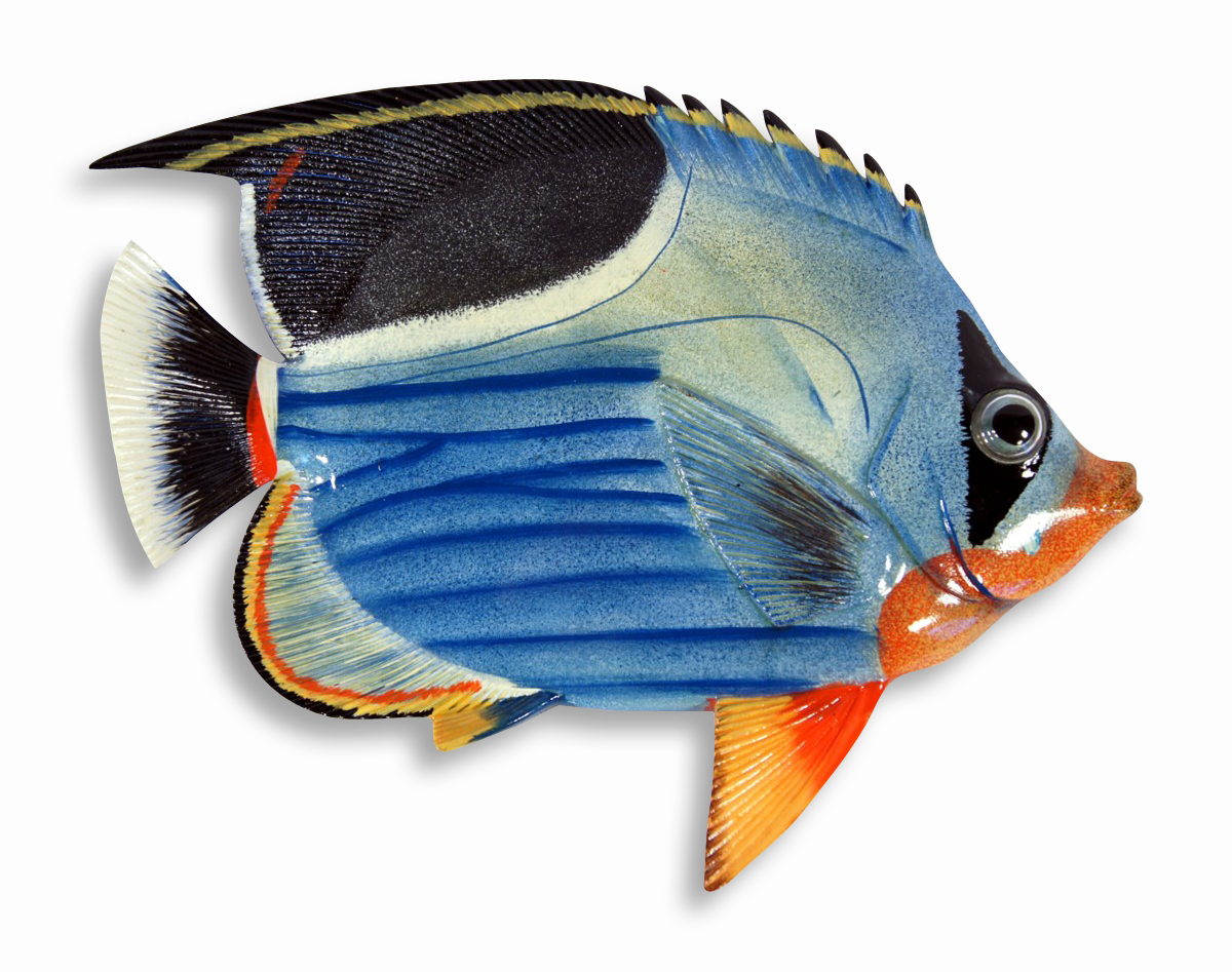 Wall Hanger-tropical Fish