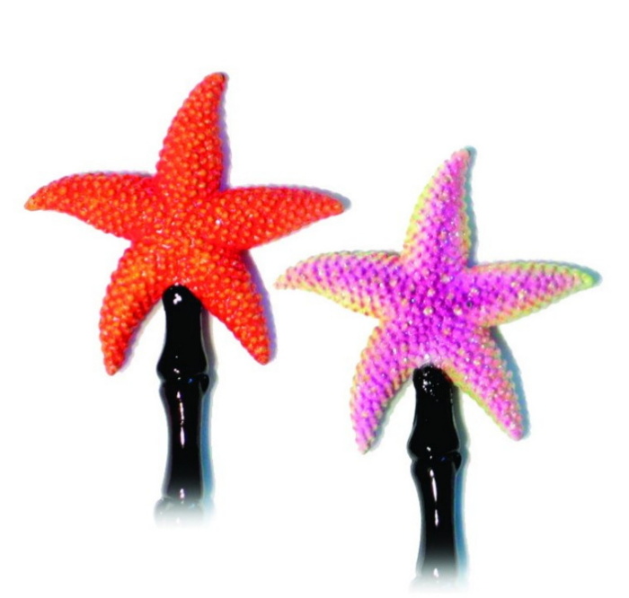 Backscratcher-star Fish-sea Star