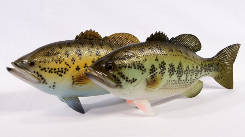Fish Statue-bass,Game Fish