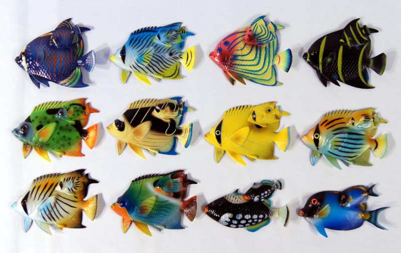 Magnet-tropical Fish