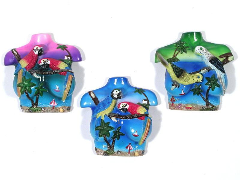 Magnet-parrots On Chest