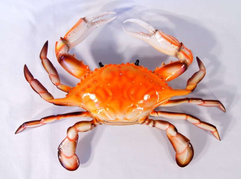Wall Hanger-animal-crab