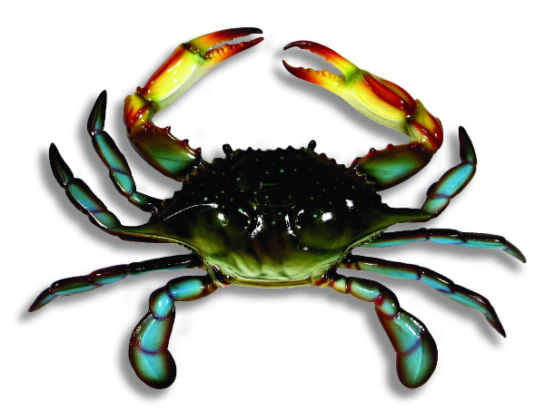 Wall Hanger-animal-crab