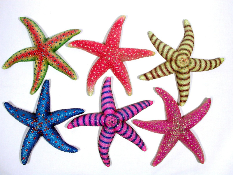 Wall Hanger-sea Star