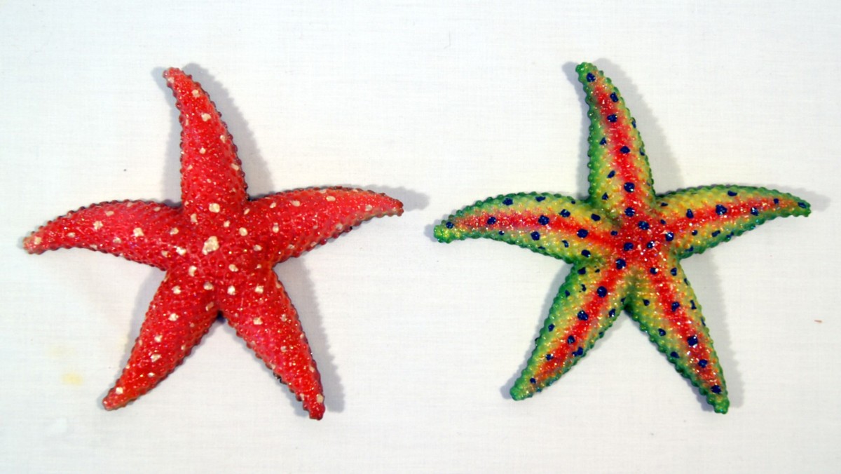 Wall Hanger-sea Star