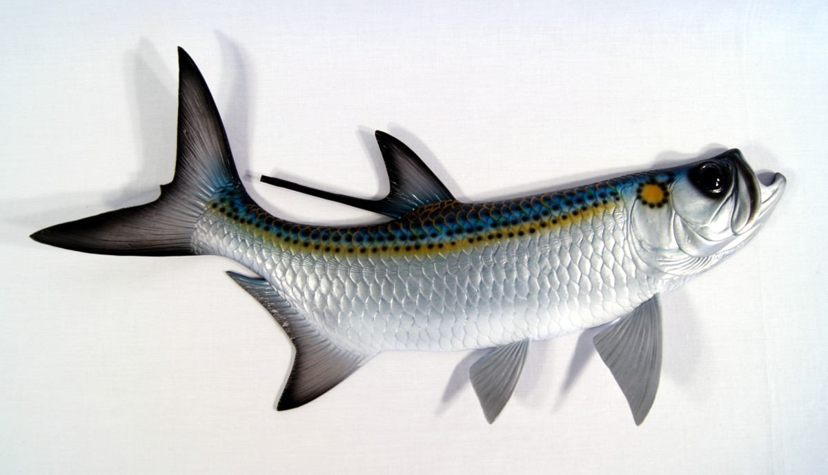 Wall Plaque-tarpon,Game Fish