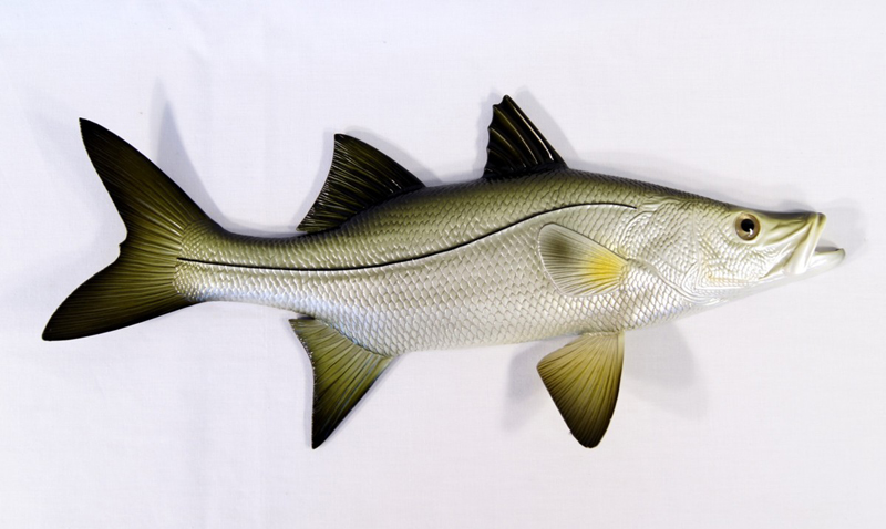 Wall Plaque-snook,Game Fish