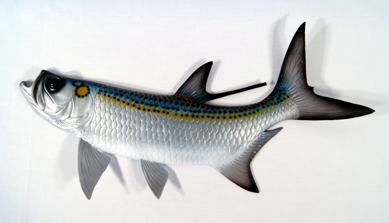 Wall Plaque-tarpon,Game Fish