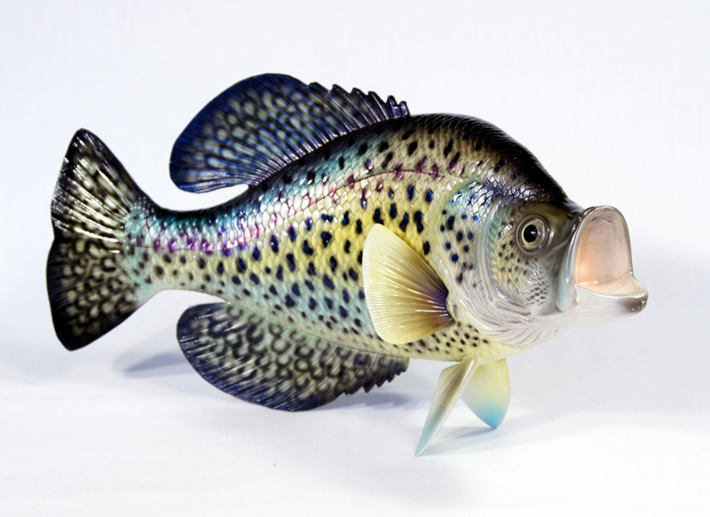 Wall Plaque-crappie,Game Fish