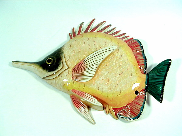 Wall Hanger-tropical Fish